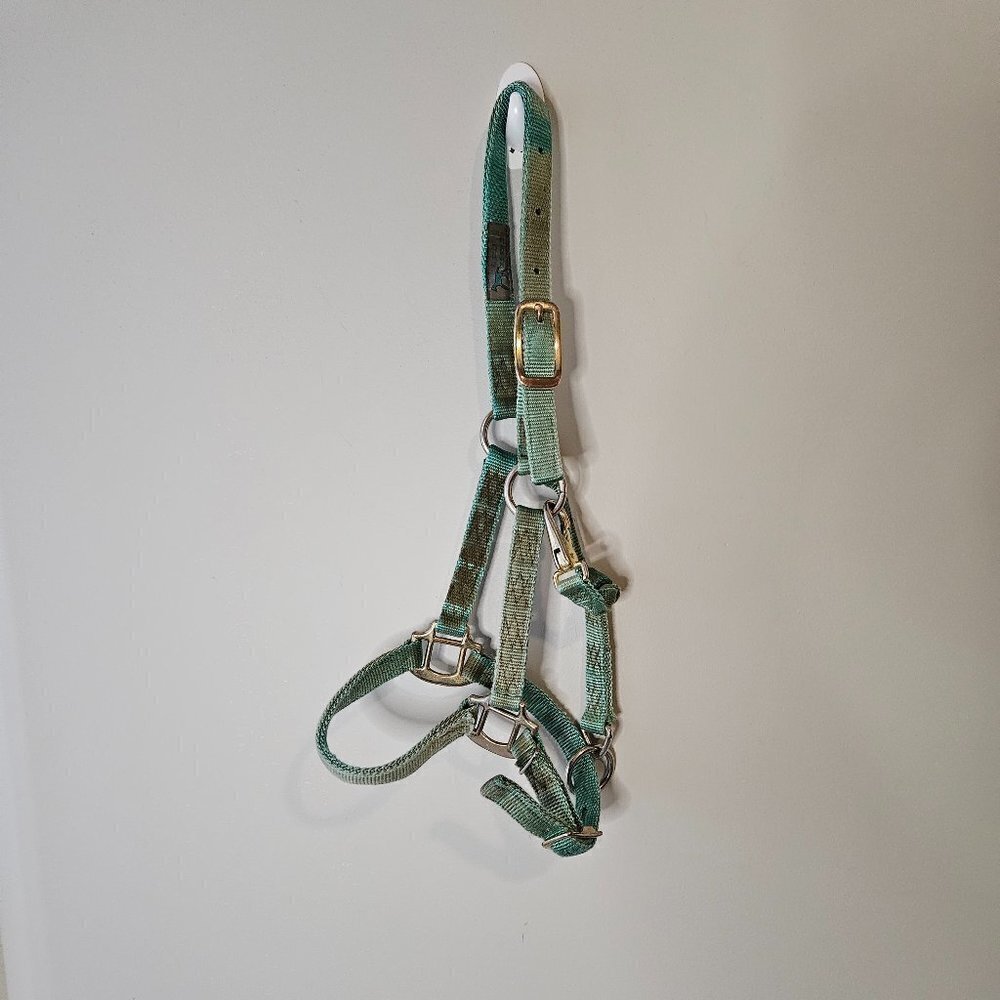 Colt Halter, used faded turquoise
